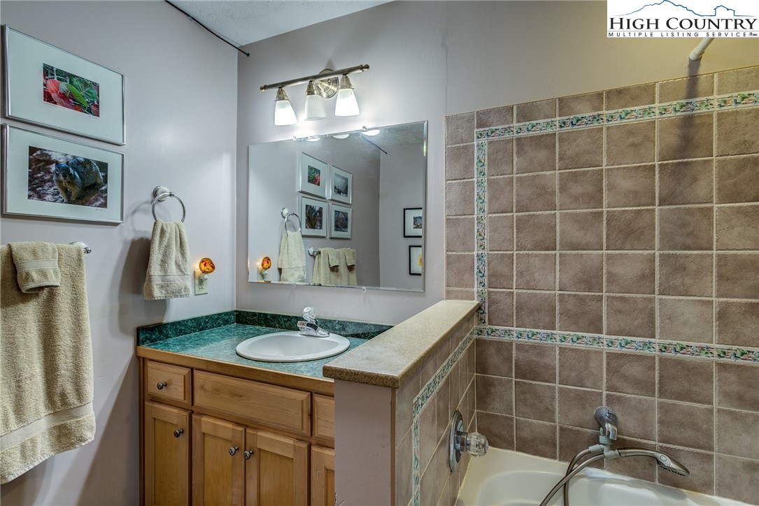 492 Willard Johnson Road Vilas, NC 28692 - Photo 21 of 42 Gallery Image 21
