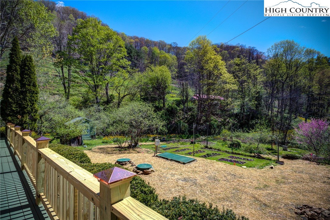 492 Willard Johnson Road Vilas, NC 28692 - Photo 3 of 42 Gallery Image 3