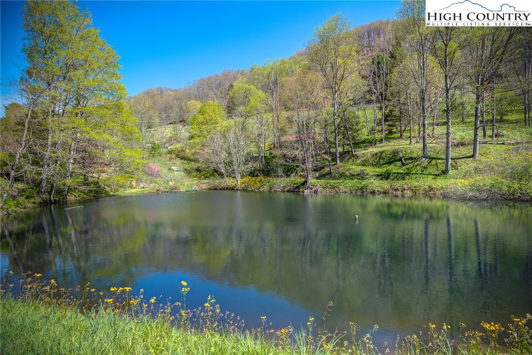 492 Willard Johnson Road Vilas, NC 28692 - Photo 38 of 42 Gallery Image 38