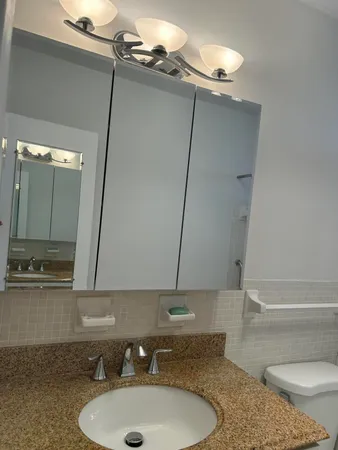 a bathroom with a sink a toilet and a mirror
