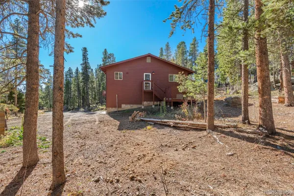 a view of a yard with plants and trees