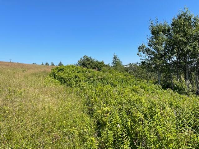 6-1 Ridge Road Cutler, ME 04626 - Photo 18 of 48 IMG_5681