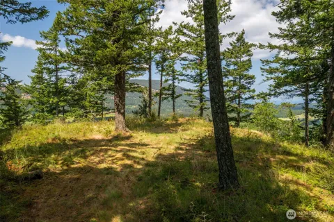 $525,000 | 1700 Mountain Crest Drive, Orcas Island, WA 98245