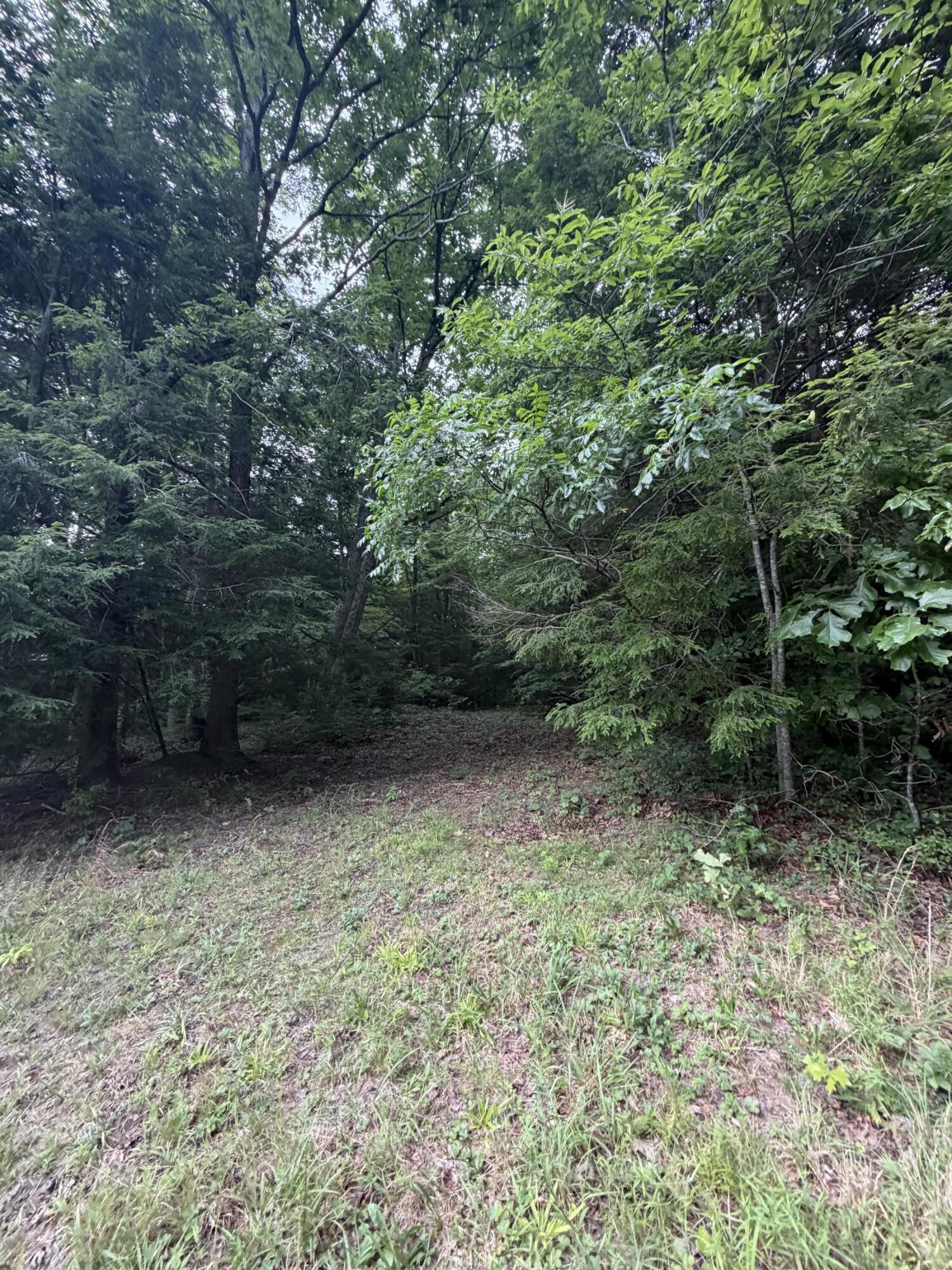 0 Mathis Road McKee, KY 40447 - Photo 28 of 39 IMG_2246