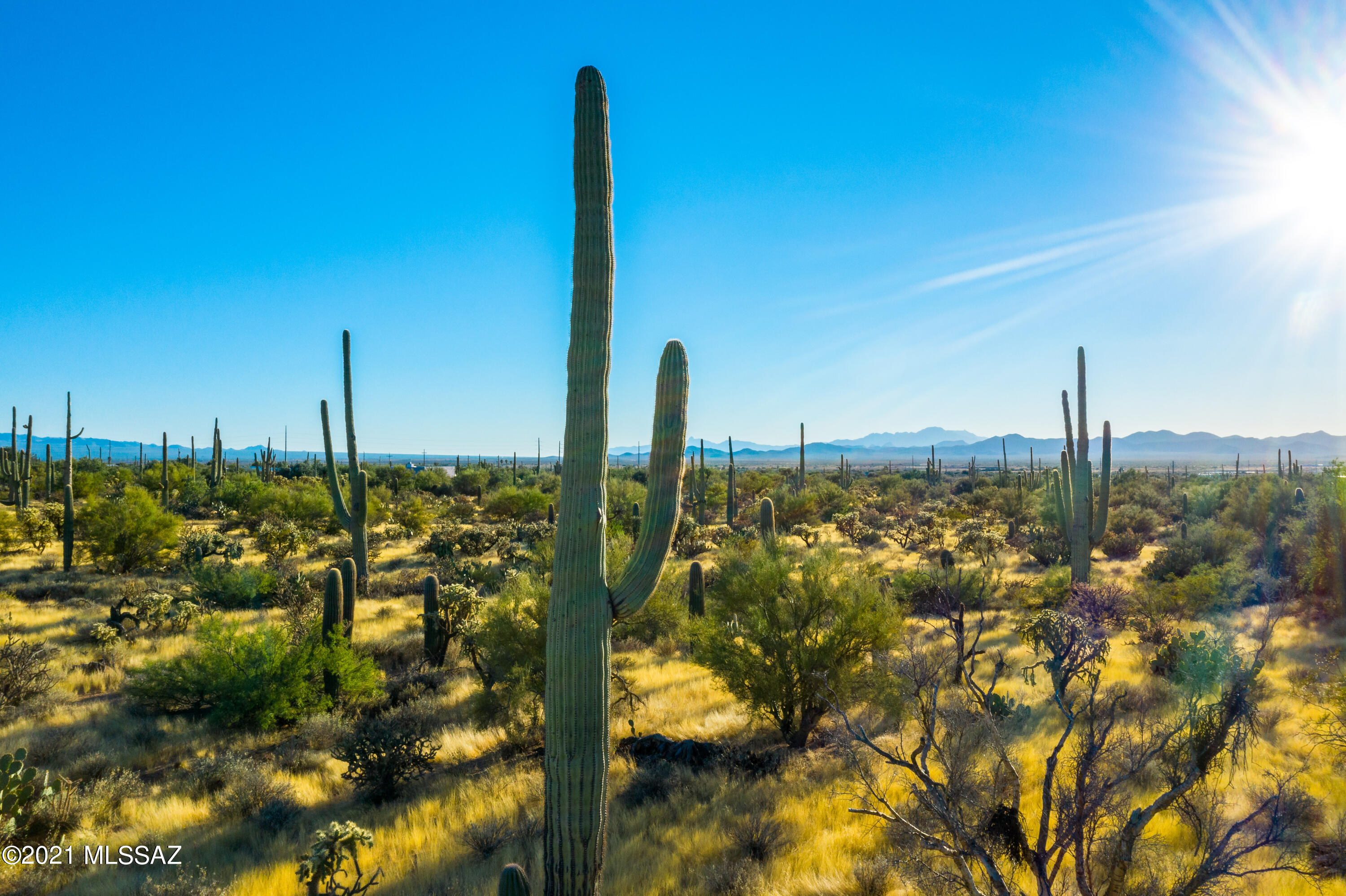 0 North Sandario Road, Unit 3 Tucson, AZ 85743 - Photo 20 of 24