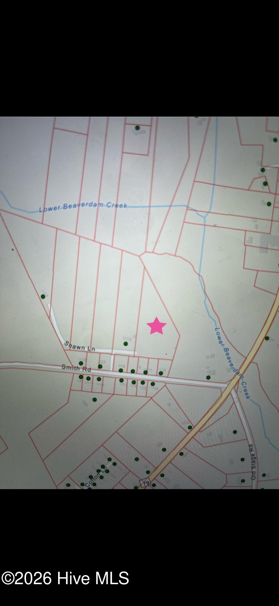 0 Smith Road Gibson, NC 28343 - Photo 3 of 5 IMG_5837