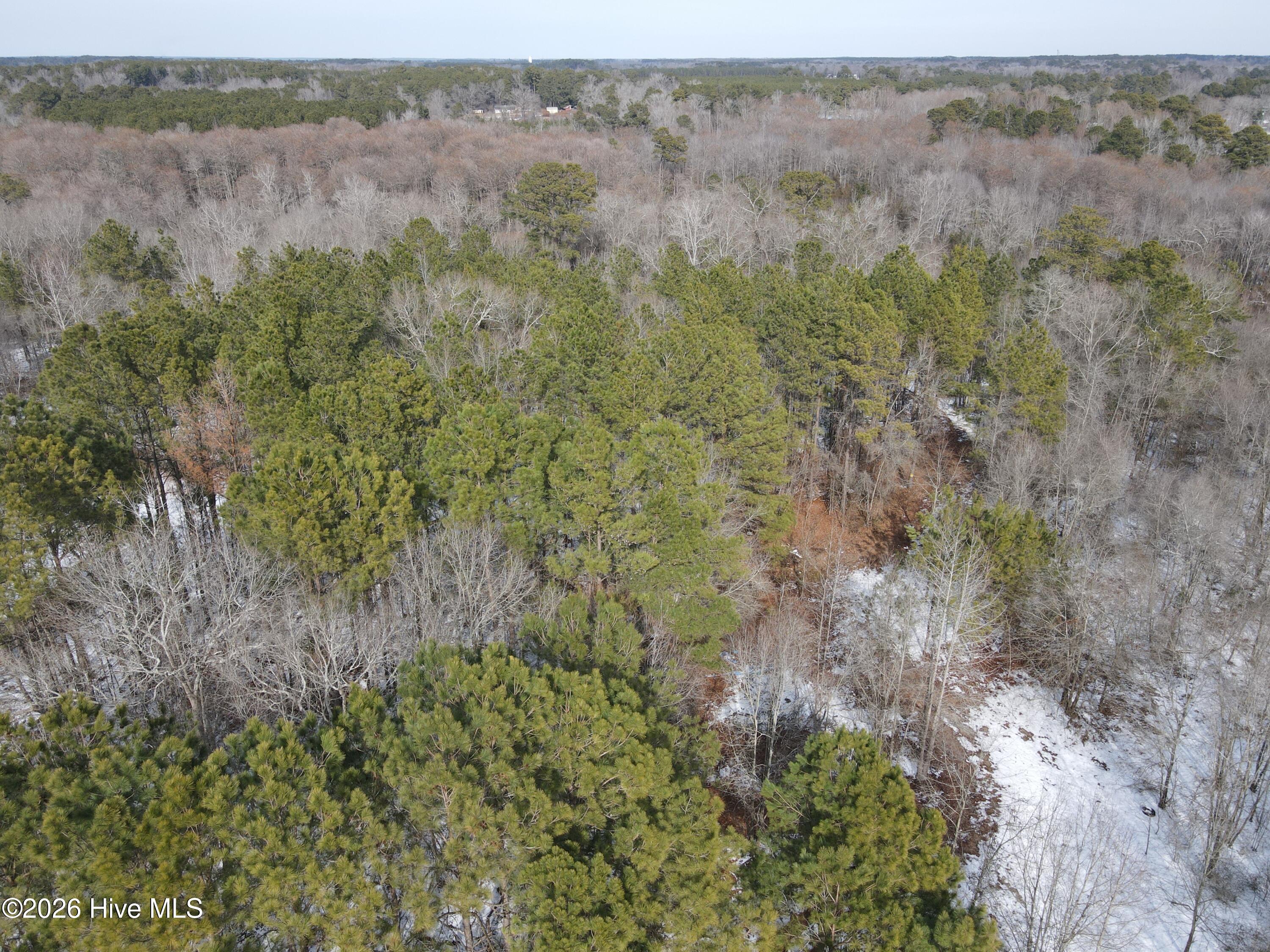 0 Smith Road Gibson, NC 28343 - Photo 4 of 5 DJI_0714