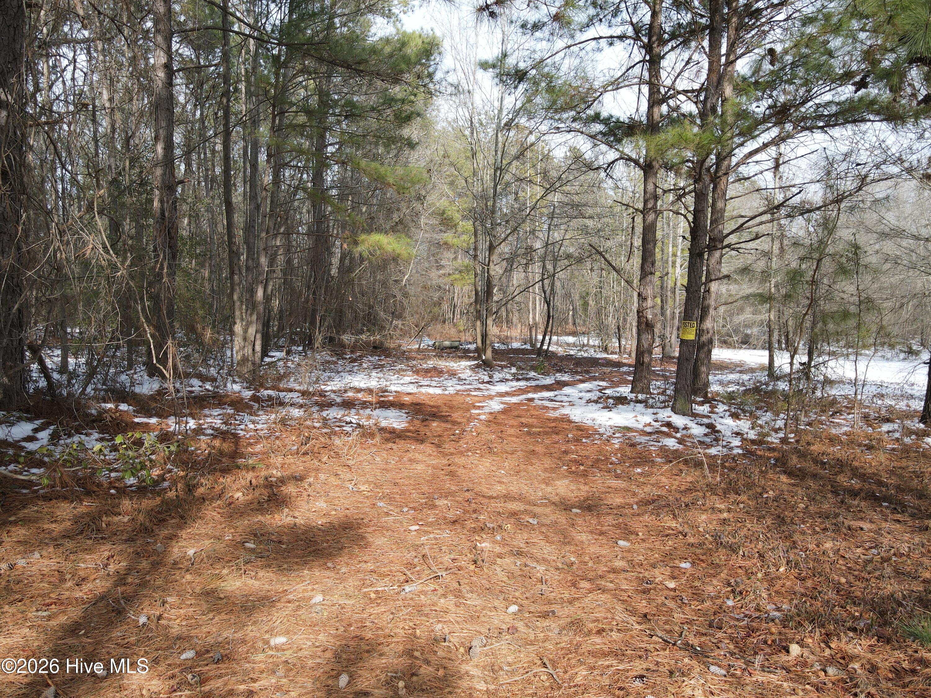 0 Smith Road Gibson, NC 28343 - Photo 5 of 5 DJI_0715