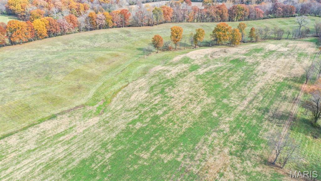 4245 Seminary Road Alton, IL 62002 - Photo 34 of 37