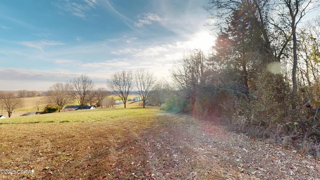 a view of an outdoor space with yard