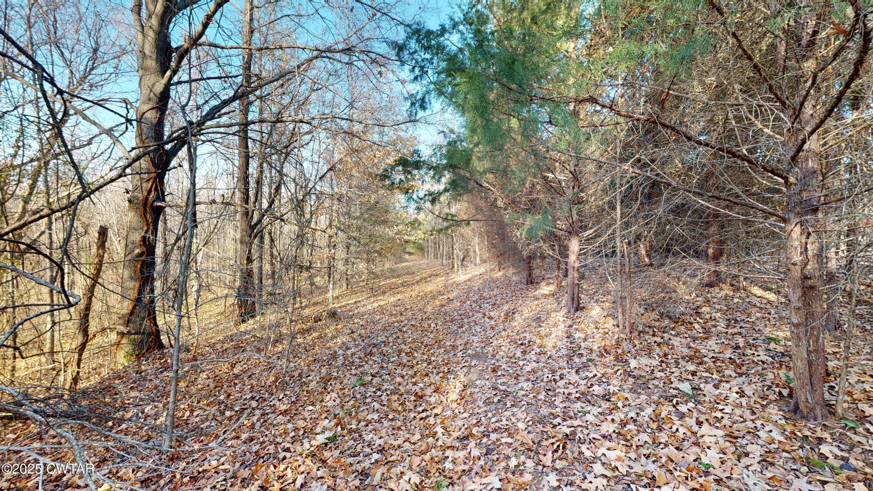 4960 Upper Finley Road Dyersburg, TN 38024 - Photo 22 of 39 a backyard of a house with lots of green space