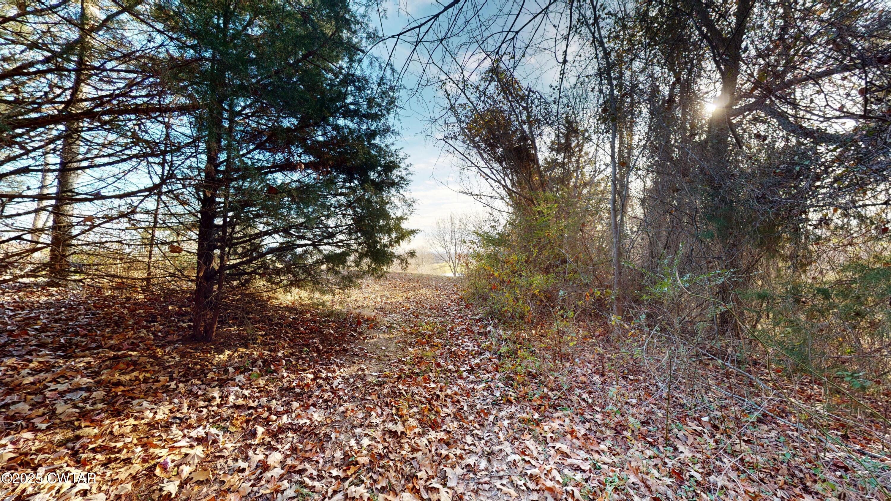 4960 Upper Finley Road Dyersburg, TN 38024 - Photo 23 of 39 a view of a yard with a tree
