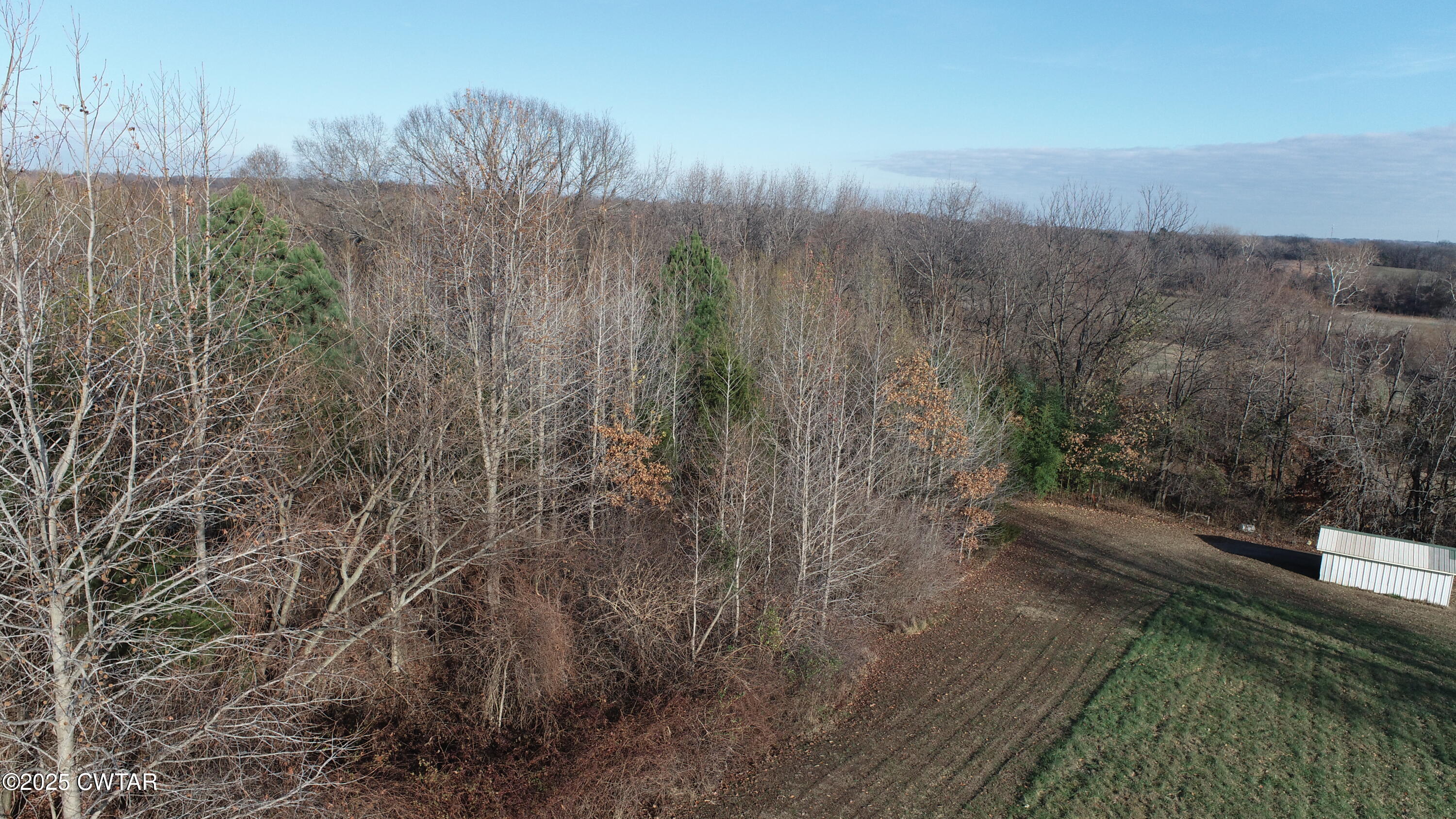 4960 Upper Finley Road Dyersburg, TN 38024 - Photo 34 of 39 a view of a yard