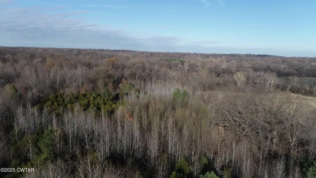 a view of a field of grass and trees
