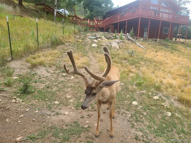 a view of outdoor space and yard