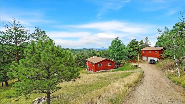 a green field with lots of trees