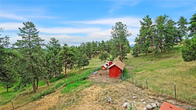 a view of a road with plants and large trees
