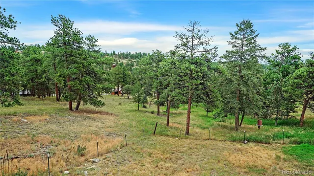 $560,000 | 262 Dick Mountain Drive, Bailey, CO 80421