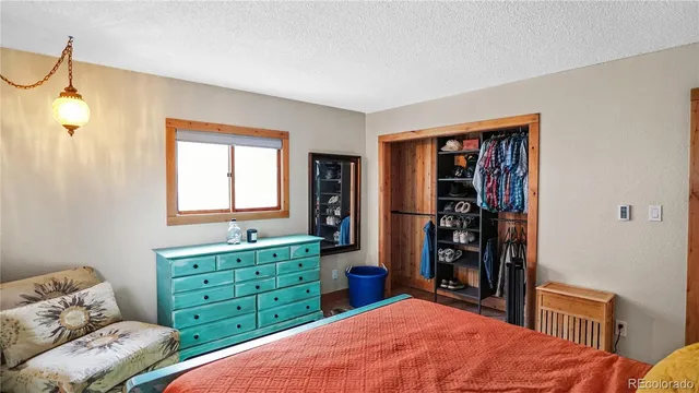 a bedroom with a bed and a closet