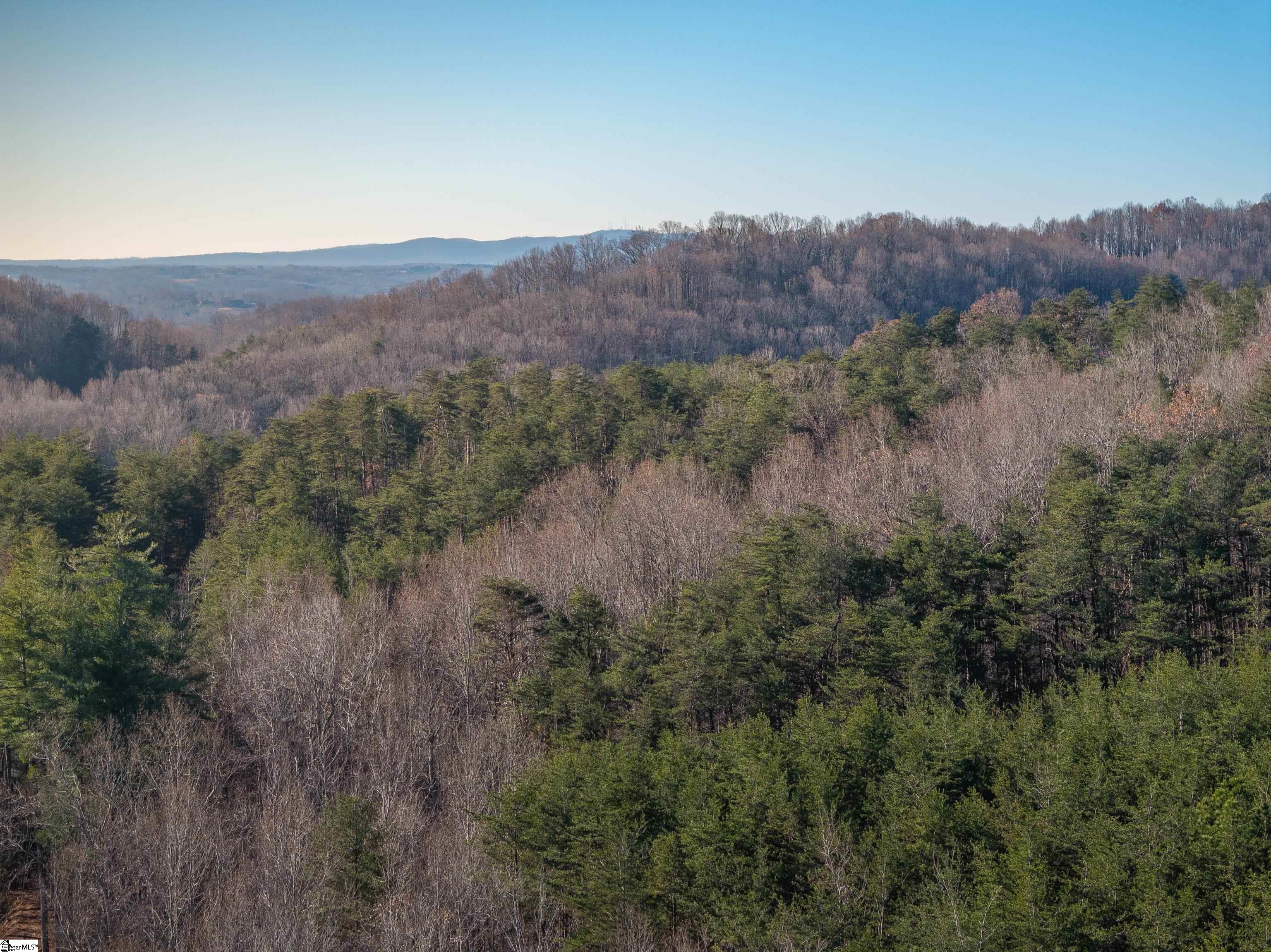 0 Pittman Road Landrum, SC 29356 - Photo 25 of 25