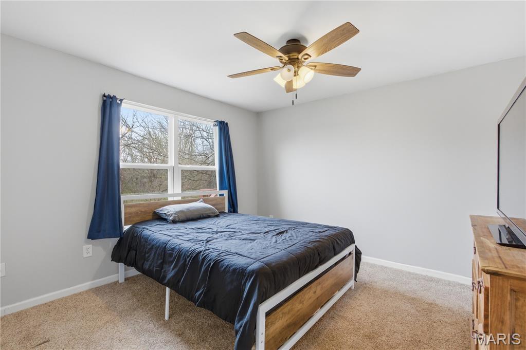 3740 Flucom Road De Soto, MO 63020 - Photo 19 of 39