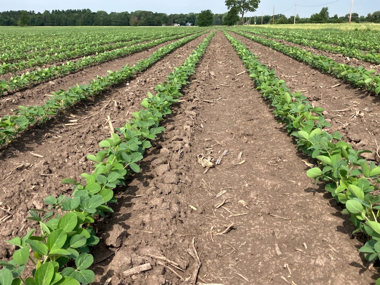 0 Center Road Rochelle, IL 61068 - Photo 23 of 32