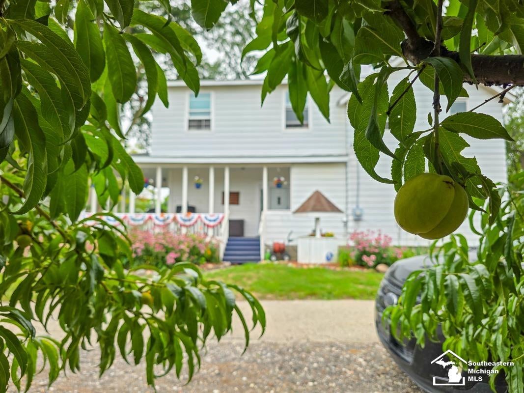 119 Redman Road Milan, MI 48160 - Photo 3 of 26 Gallery Image 3