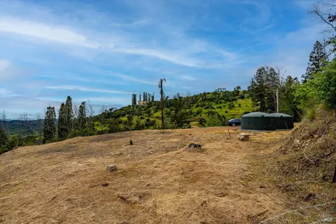 a view of a plants with yard