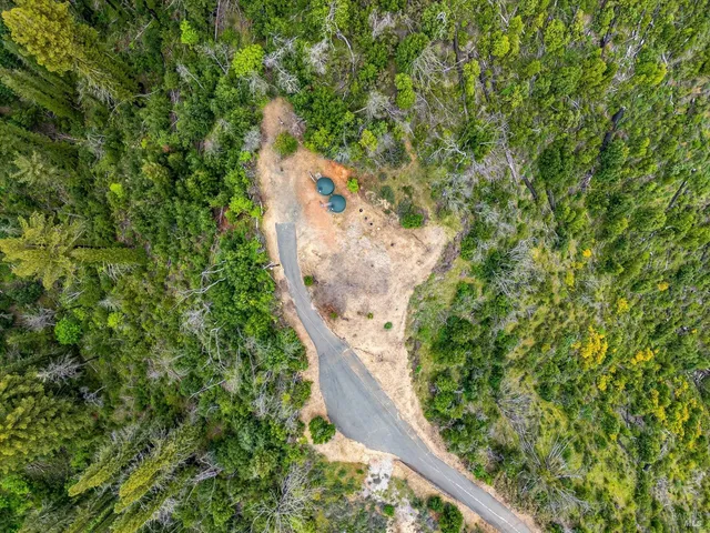 a view of a yard with plants