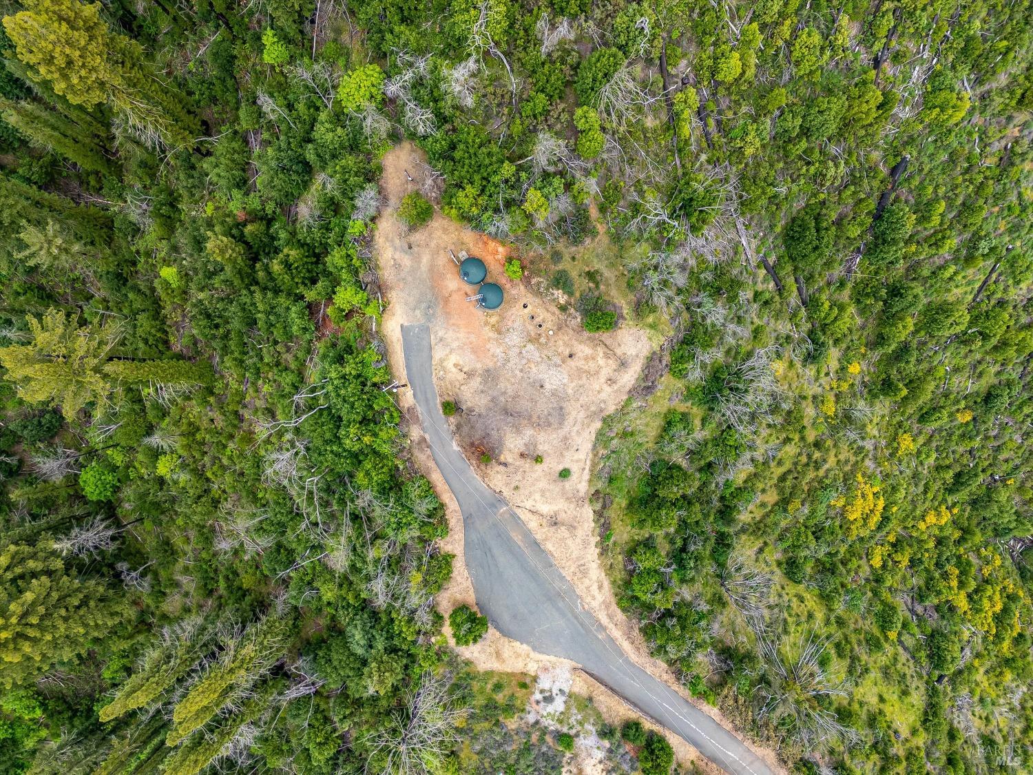 2272 Mark West Springs Road Santa Rosa, CA 95404 - Photo 12 of 29 a view of a yard with plants
