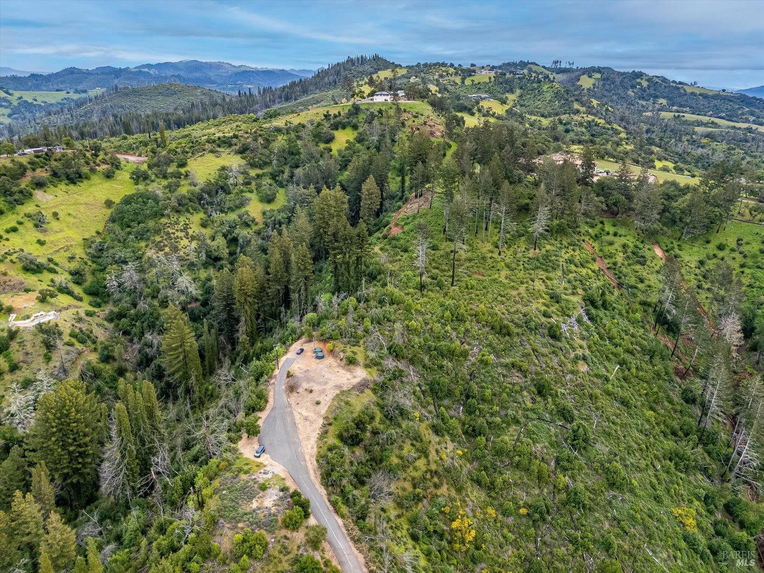 2272 Mark West Springs Road Santa Rosa, CA 95404 - Photo 14 of 29 a view of a forest with mountains in the background