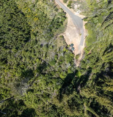 a view of a dry yard with trees