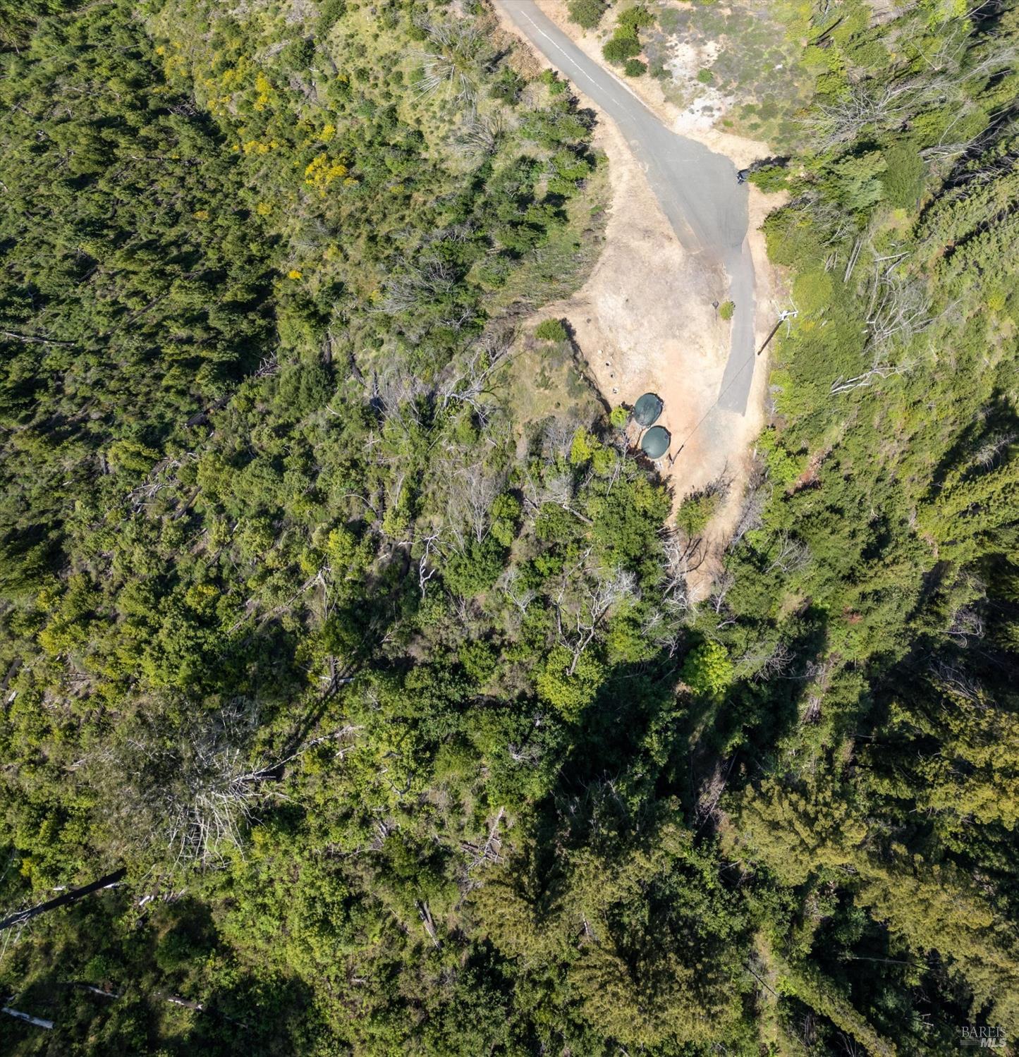 2272 Mark West Springs Road Santa Rosa, CA 95404 - Photo 18 of 29 a view of a garden with a tree