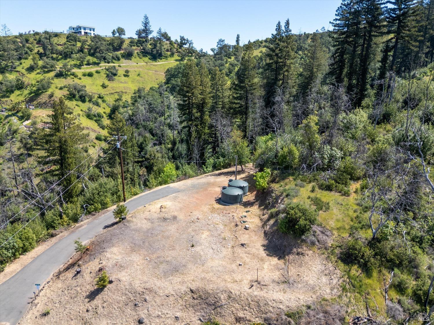 2272 Mark West Springs Road Santa Rosa, CA 95404 - Photo 19 of 29 a view of a dry yard with trees