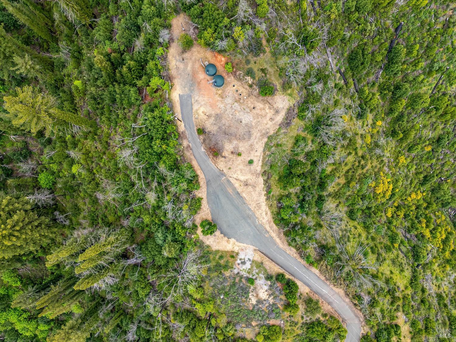 2272 Mark West Springs Road Santa Rosa, CA 95404 - Photo 2 of 29 a view of a yard with a tree