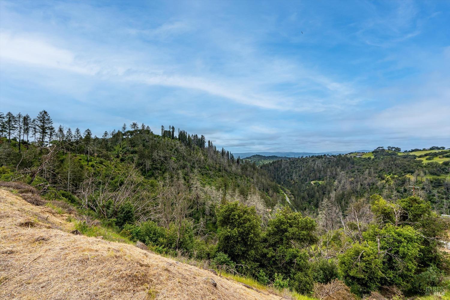 2272 Mark West Springs Road Santa Rosa, CA 95404 - Photo 26 of 29 a view of a city and mountains in the background