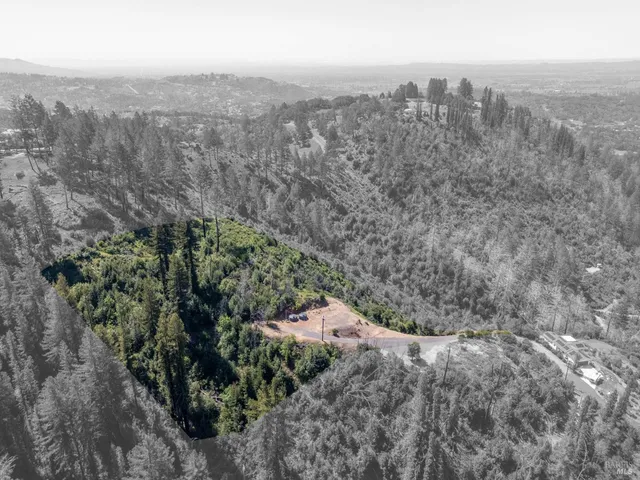 a view of a city with lush green forest