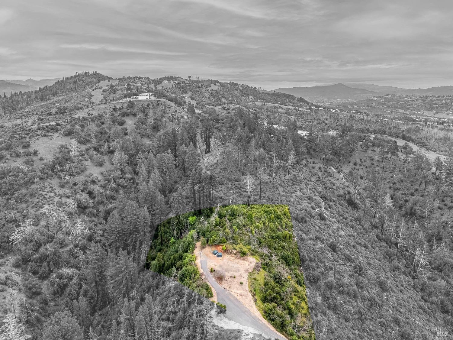 2272 Mark West Springs Road Santa Rosa, CA 95404 - Photo 4 of 29 a view of a yard with a mountain