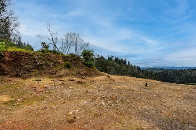 a view of a field with trees in the background