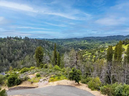 a view of a yard with an trees