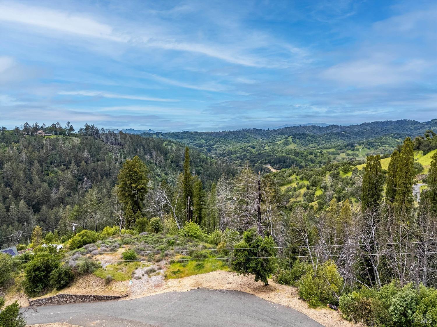 2272 Mark West Springs Road Santa Rosa, CA 95404 - Photo 8 of 29 a view of a yard with an trees