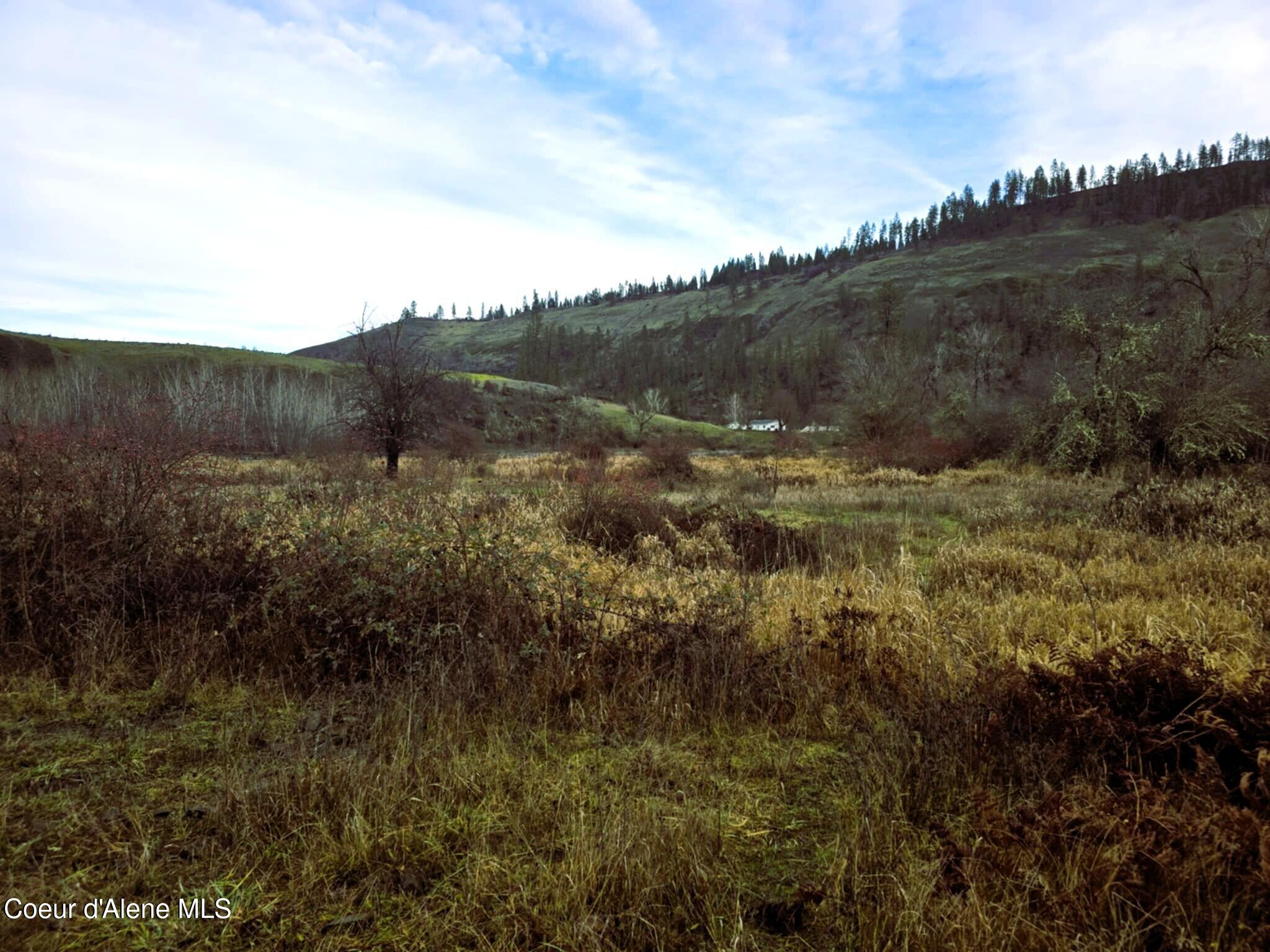 3841 Highway 13 Stites, ID 83552 - Photo 11 of 26 3841 Highway 13