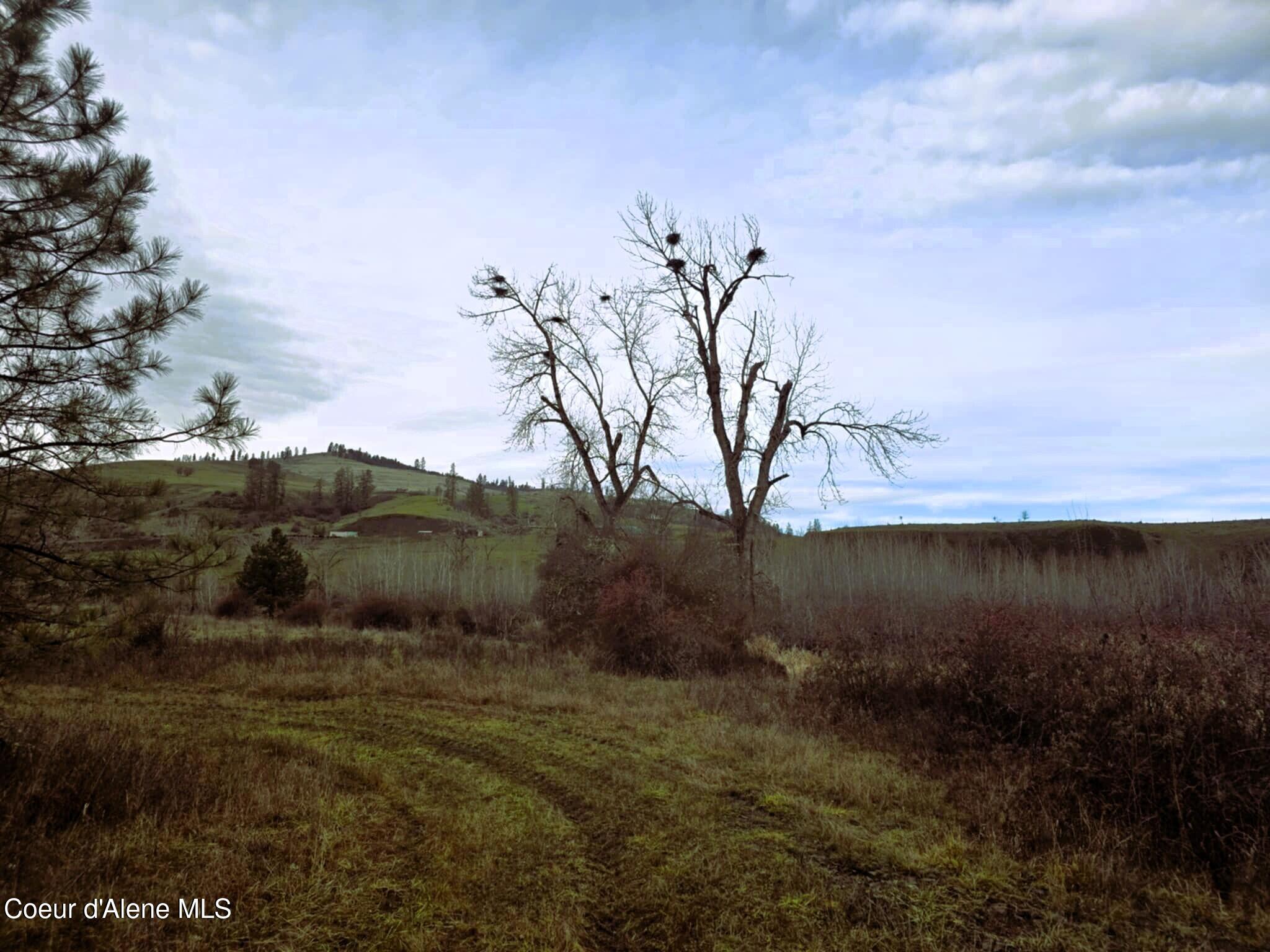 3841 Highway 13 Stites, ID 83552 - Photo 9 of 26 3841 Highway 13