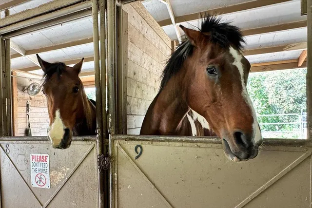 $1,598,000 | 8816 Wine Valley Circle, San Jose, CA 95135