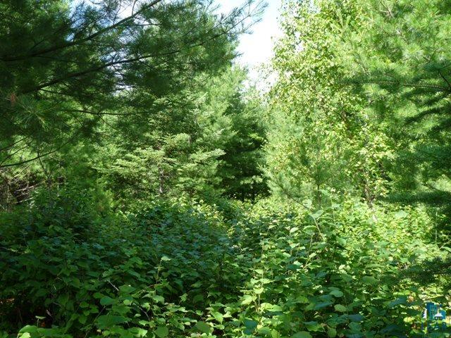 Xxx East Cook Lake Road Duluth, MN 55803 - Photo 6 of 17 Gallery Image 6