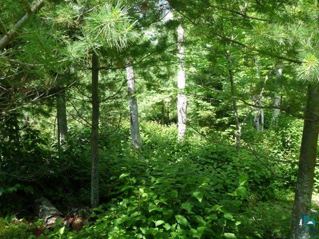 Xxx East Cook Lake Road Duluth, MN 55803 - Photo 7 of 17 Gallery Image 7