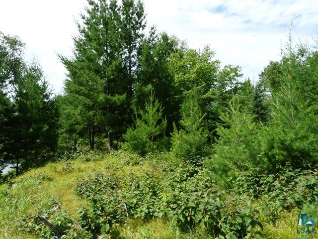 Xxx East Cook Lake Road Duluth, MN 55803 - Photo 9 of 17 Gallery Image 9