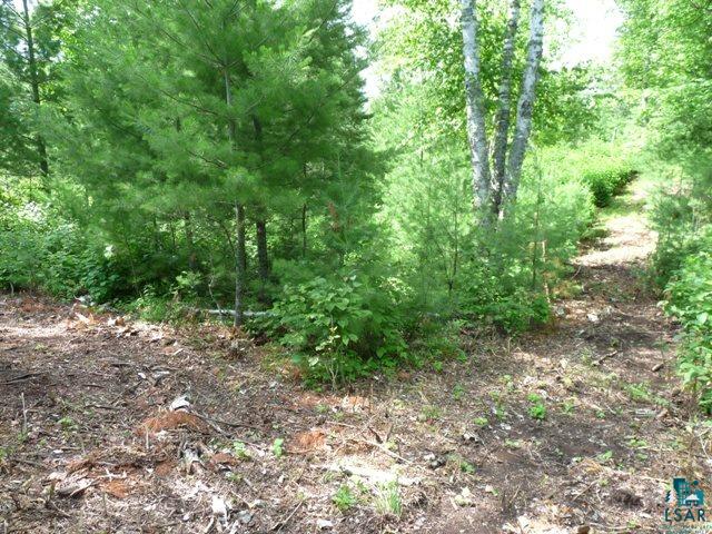 Xxx East Cook Lake Road Duluth, MN 55803 - Photo 10 of 17 Gallery Image 10