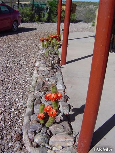 6270 Cielo Azul Road Benson, AZ 85602 - Photo 17 of 23 Gallery Image 17