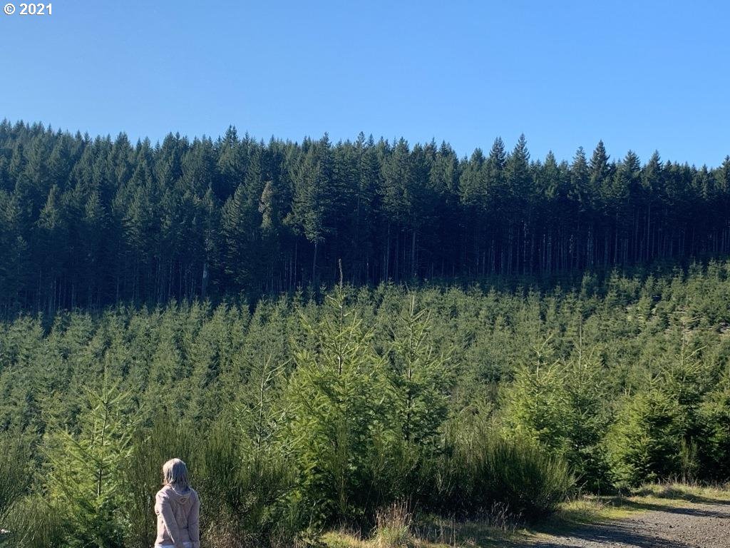 0 Siuslaw River Road Lorane, OR 97451 - Photo 1 of 13 Gallery Image 1